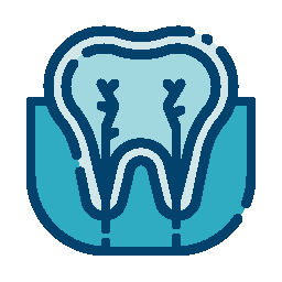 Endodontia